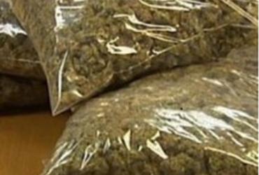 Sussex Probation Makes Large Drug Arrest and Seizure